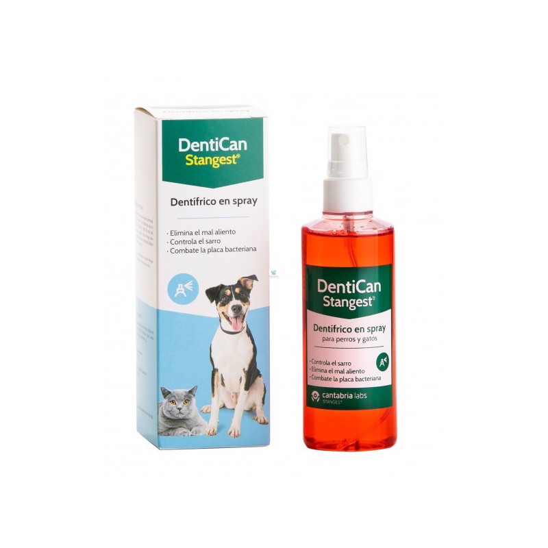 Spray dental Dentican