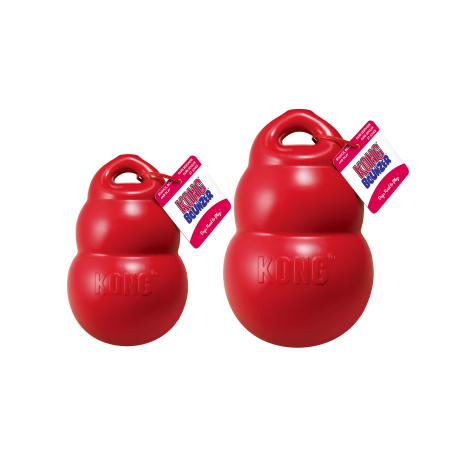 Kong Bounzer